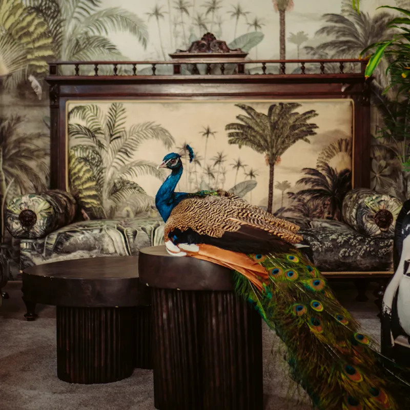 Secretul locuintei perfecte: de ce sa alegi mobilier de designer in amenajarea casei tale