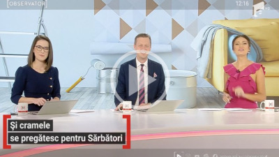 Tapetul inspirat din natură, la modă în 2021 - OBSERVATOR