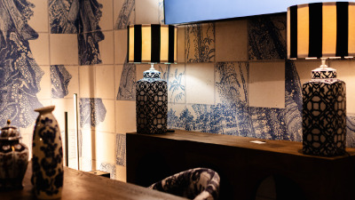 VLAdiLA la Observator, Antena 1, BIFE-SIM 2025