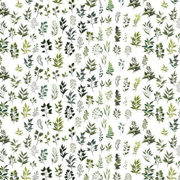 Papier peint Tropical Feuillage Leaves – VLAdiLA - Img 2