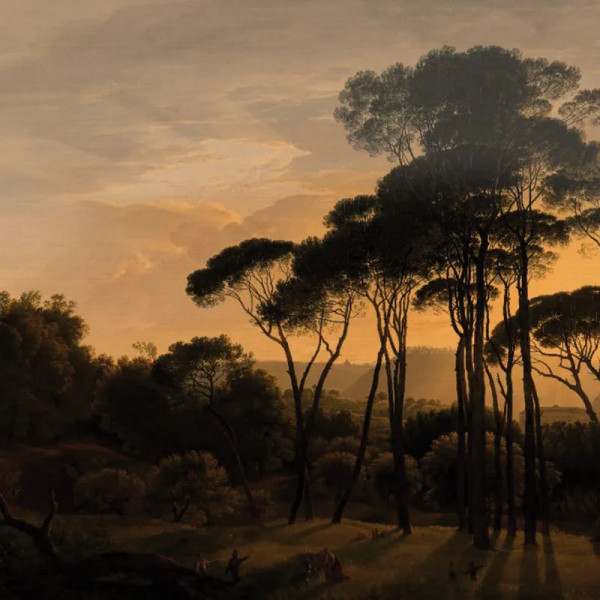 Обои Umbrella Pines Dusk - Img 2