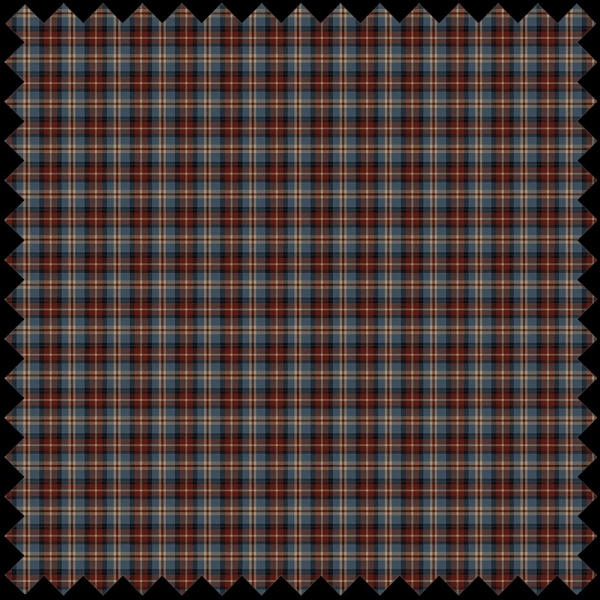No. 5 - Inveraray Fabric - Img 2