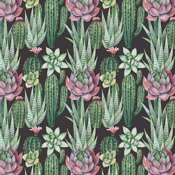 Papier peint Floral Noble Succulents – VLAdiLA - Img 2