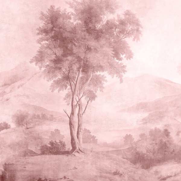 Solitary Tree rose Wallpaper - Img 3