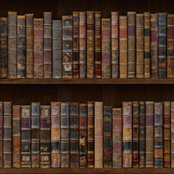 Library Style Behang - Img 2