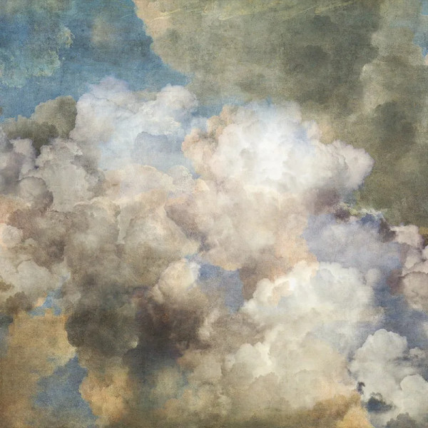 Papier peint Nature Luxe Evangeline Cumulus – VLAdiLA - Img 2