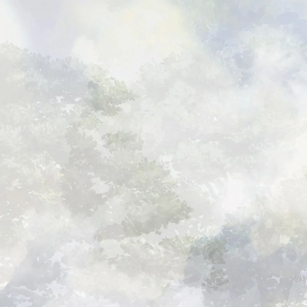 Papier peint Nature Luxe Looking Up – VLAdiLA - Img 2