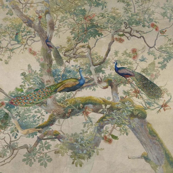 Papier peint Nature Oriental Eden Peacock – VLAdiLA - Img 2