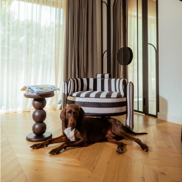 Picasso B&W Lines Fauteuil