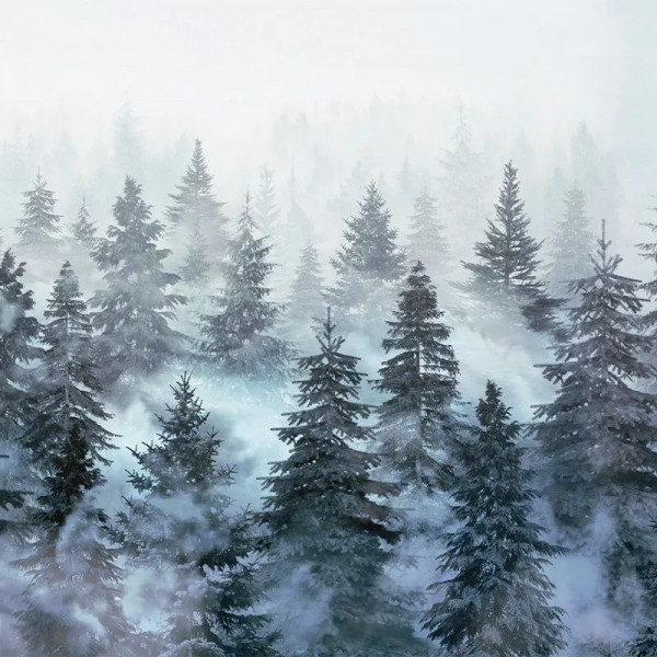 Обои Rivian Forest Stone - Img 2