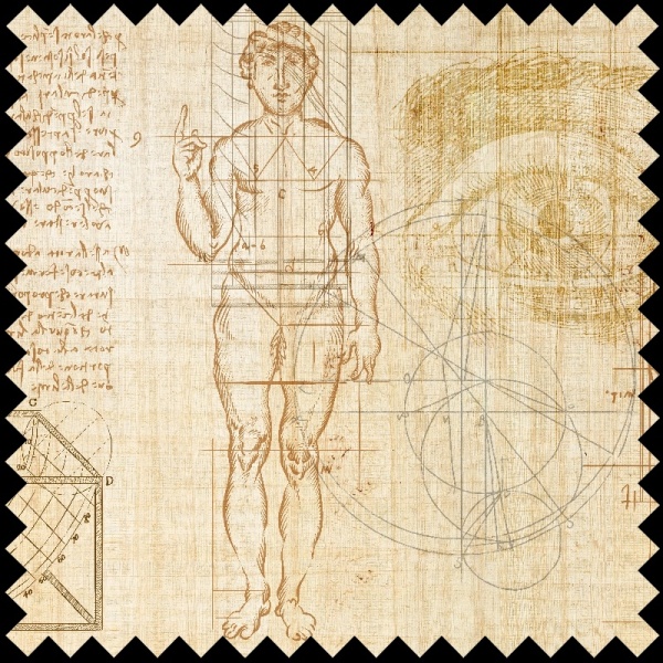 Material Textil Anatomy of numbers - Img 2