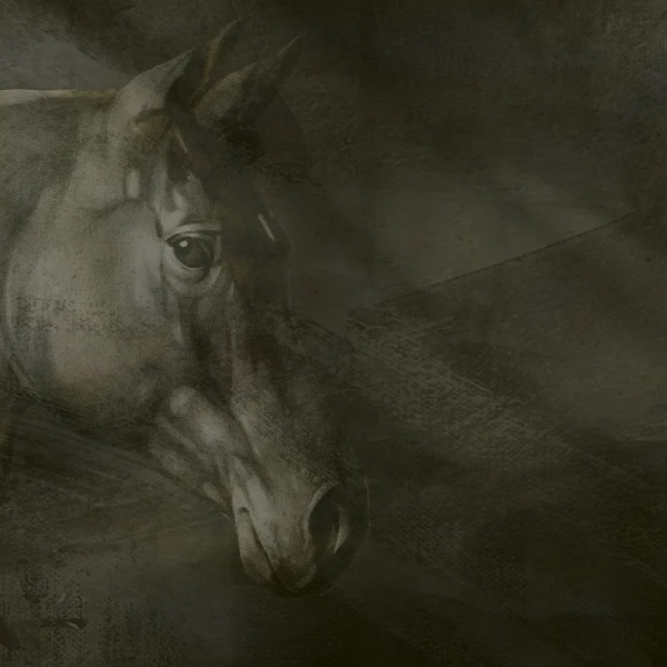 Papier peint Moderne Abstrait Friesian Charm – VLAdiLA - Img 2