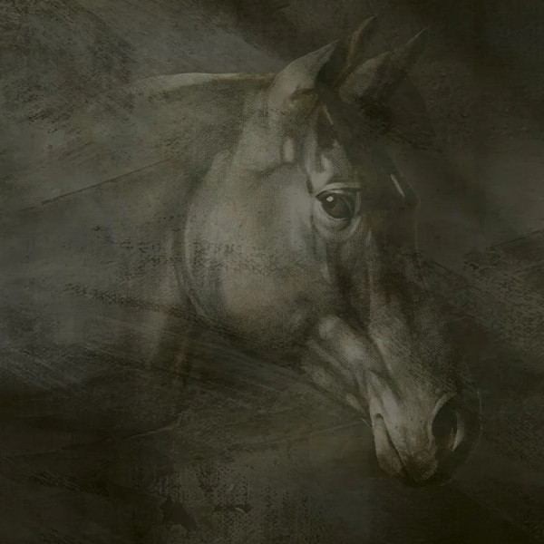 Papier peint Moderne Abstrait Friesian Charm – VLAdiLA - Img 3