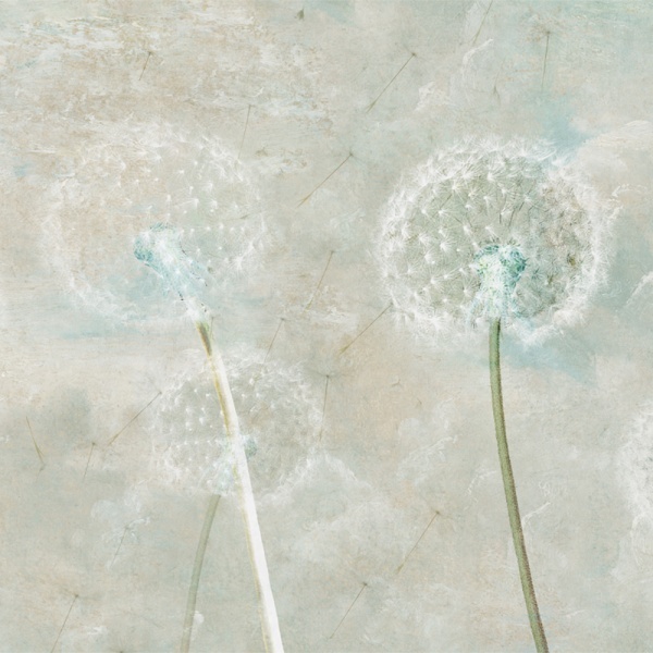 Papier peint Moderne Minimaliste Dandelion Whisper – VLAdiLA - Img 3