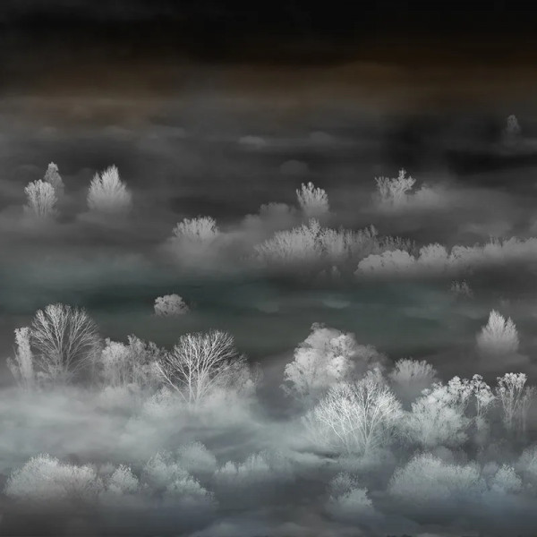 Papier peint Paysage Nature Foggy Landscape Nightview – VLAdiLA - Img 2