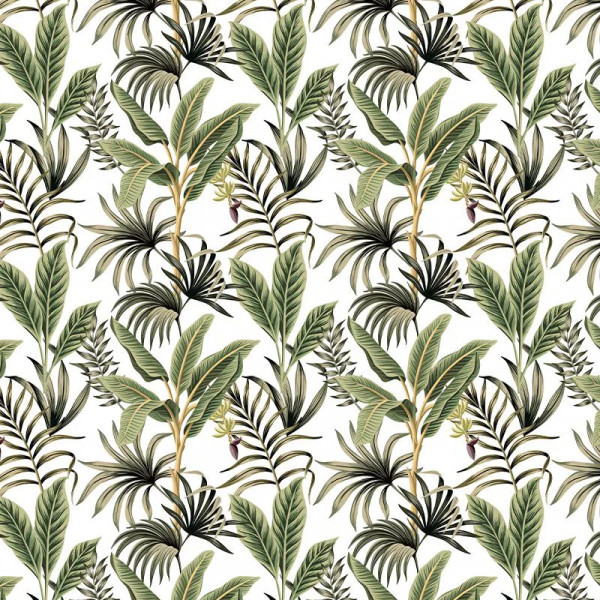 Papier peint Tropical Nature Tropical light – VLAdiLA - Img 2
