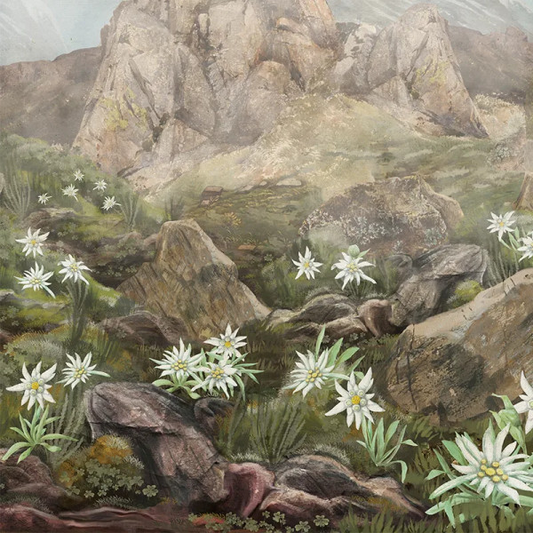 Обои Elysium - Img 2