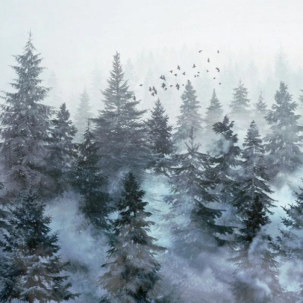 Обои Rivian Forest Stone - Img 3