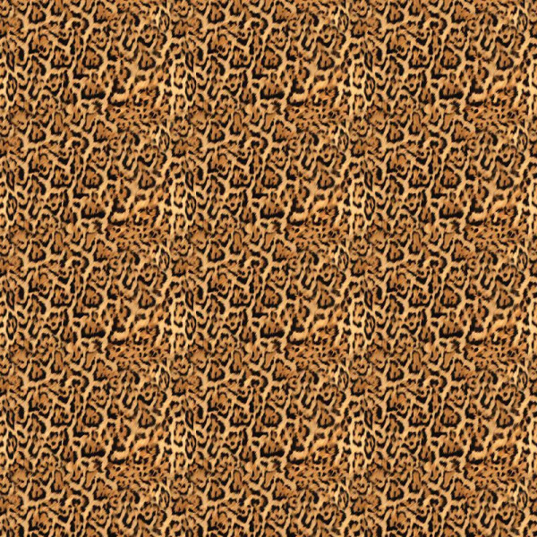 Farfugium Тапет - Img 2