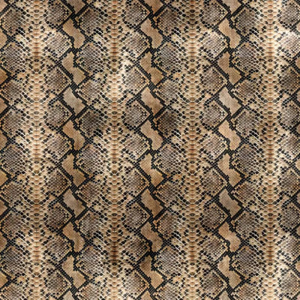 Обои Sansevieria - Img 2