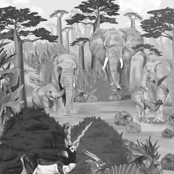 Papier peint Forêt Nature Wonderful Wilds Gray – VLAdiLA - Img 2