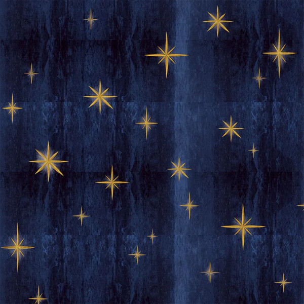 Papier peint Nature Luxe Stars Blue – VLAdiLA - Img 2