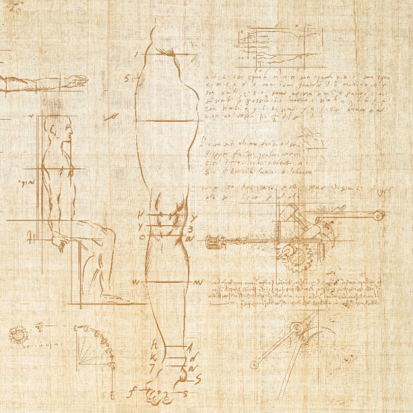 Papier peint Nature Symbols and symmetries – VLAdiLA - Img 2