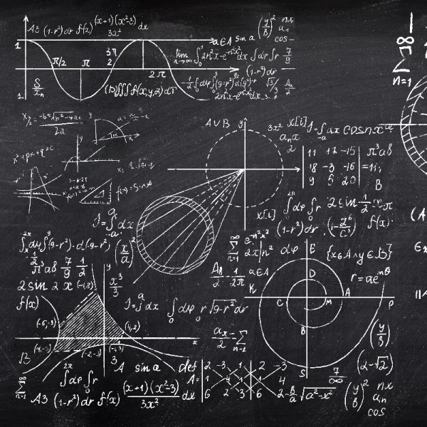 Papier peint Nature Xi-Phi – VLAdiLA - Img 2