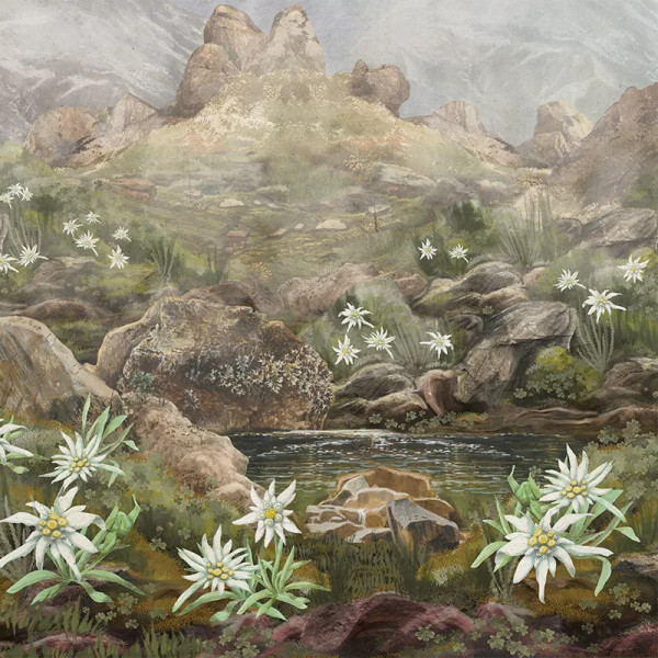 Обои Elysium - Img 3