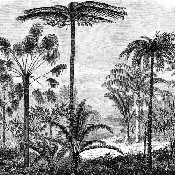 Обои Grey Amazon - Img 2