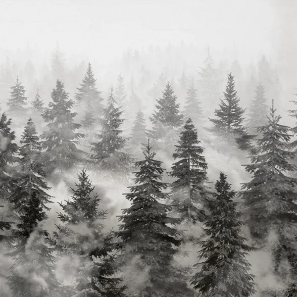 Обои Rivian Forest Charcoal - Img 2