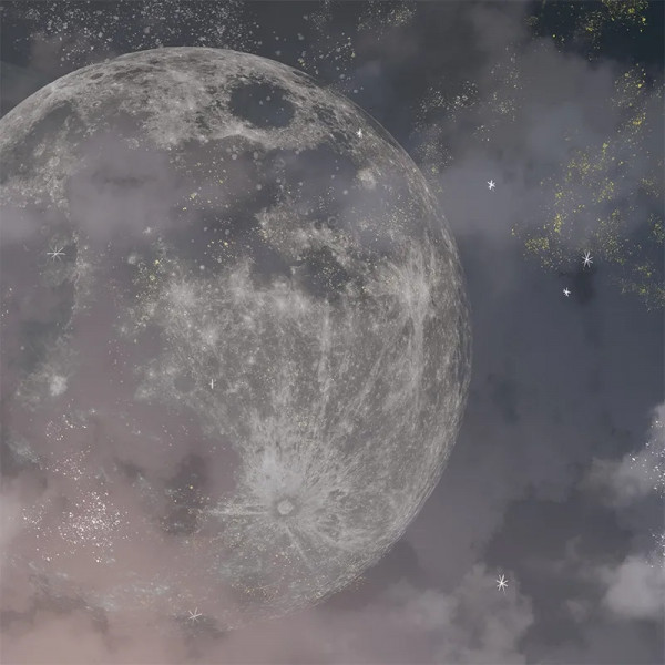 Papier peint Nature Luxe Moon Dust – VLAdiLA - Img 2
