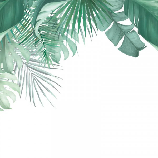 Papier peint Tropical Nature Frame Exotique – VLAdiLA - Img 2