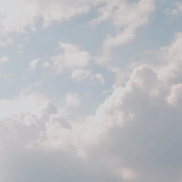 Обои Royal Bliss - Img 2