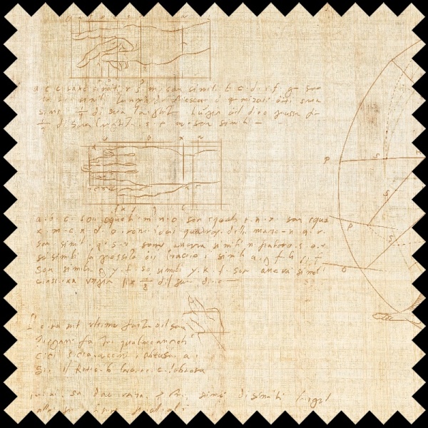 Material Textil Master of knowledge - Img 3