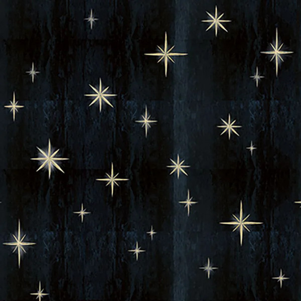Papier peint Nature Luxe Stars Black – VLAdiLA - Img 2