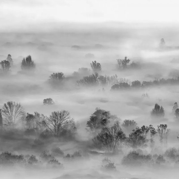 Papier peint Paysage Nature Foggy Landscape Grey – VLAdiLA - Img 2