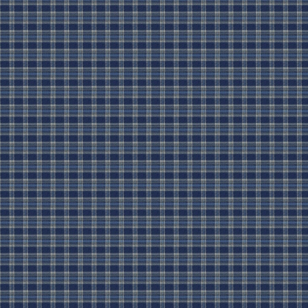 Tapet No. 4 - Edinburgh - Img 2