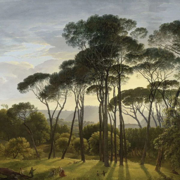 Обои Umbrella Pines - Img 2