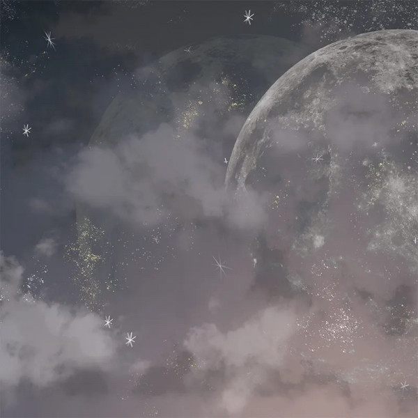 Papier peint Nature Luxe Moon Dust – VLAdiLA - Img 3