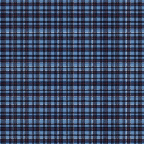 Tapet No. 1 - Leith - Img 3