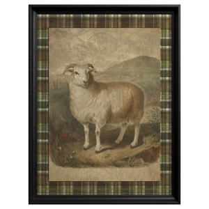 Tableau Domestic Sheep
