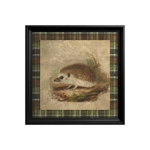 Tableau Hedgehog
