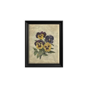 Tableau Pansy Reverie