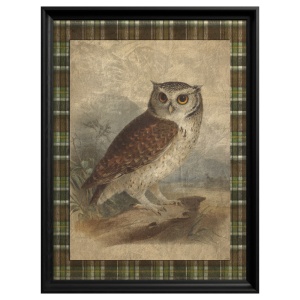 Little Owl Painting