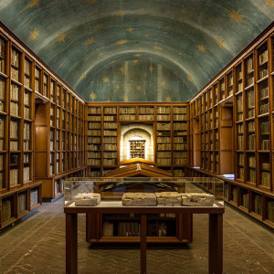 Stars Olive (textured) Tapéta