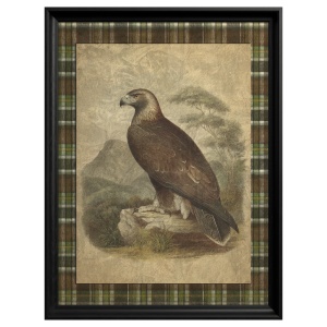 Tableau Golden Eagle - Img 3