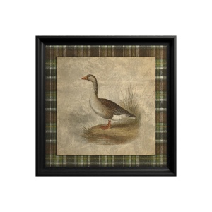 Tableau Greylag Goose