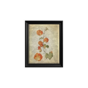 Canvas Wall Art Lantern Bloom
