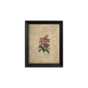 Canvas Wall Art Lily Reverie